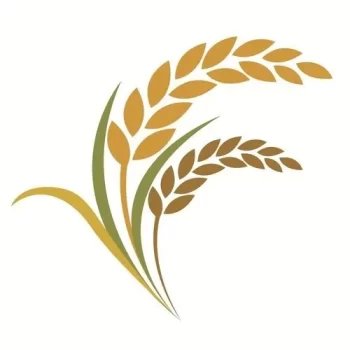 MayaFoundationLogo-1920w